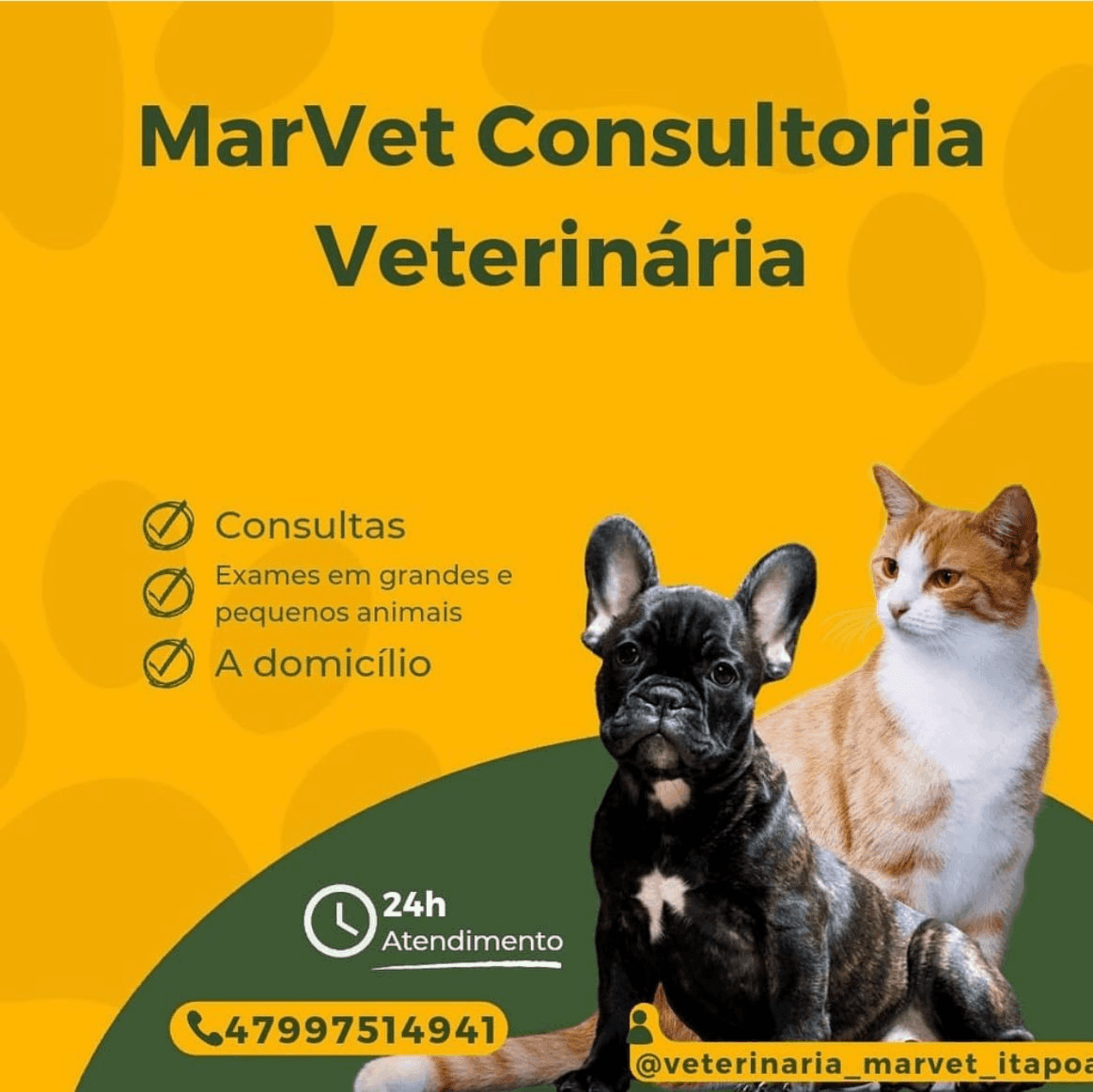 Marvet Consultório Veterinário